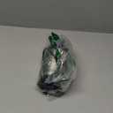 BLACK+DECKER One Touch Coffee Grinder, 2/3 Cup Coffee Bean Capacity, Spice Grinder, One Touch Push-Button Control -150 Watts - Stainless Steel Blades