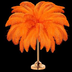 30 Pcs Large Natural Ostrich Feathers Bulk 16-18 Inch for Centerpieces for Wedding Party Centerpieces Home Decoration Flower Arrangement (Orange)