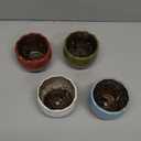 ARTKETTY Succulent Pots - 4 Inch Ceramic Succulent Planters with Drainage Tray Set of 4, Small Cactus Pots for Indoor Plants Colorful Flower Plant Pots for Desk Windowsill (Blue/Green/Red/White/Yellow/Light Blue)