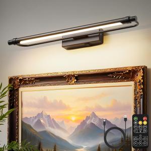 ZitoStory 20'' Picture Lights for Wall, Battery Operated LED Art Light, Adjustable Brightness Wall Mounted Light for Paintings, Photos, Posters & Artwork Display