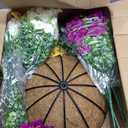 2 Set Artificial Outdoor Flowers with Hanging Baskets,24 Pcs UV Resistant Faux Petunias Flowers with Hanging Planter for Front Door Porch Spring Outside Decor (2, White,Yellow,Purple,RedViolet)