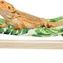 Bearded Dragon Bed, Wooden Reptile Sleeping Hammock, Bearded Dragon Tank Accessories, Habitat Accessories for Leopard Gecko Snake Lizard or Other Small Animal (Green 1, Large)