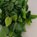 CEWOR 4pcs Artificial Hanging Plants 2.9ft Fake Ivy Vine Fake Ivy Leaves for Wedding Wall House Room Patio Indoor Outdoor Home Shelf Office Decor