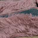 Blush Fluffy Area Rugs for Living Room, Soft Shaggy Carpets for Living Room, Upgrade Anti-Skid Fuzzy Rugs for Kids' Room, Perfect Decor for Modern Home 5x7 Feet