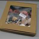 Velvet Christmas Ornaments, Pack of 16pcs 3.15" Shatterproof Ornaments Balls in 4 Colors and 12pcs 7.09" Velvet Bows for Christmas Tree (Brown, Green) and Vintage Xmas Tree Decoration (Neutral)