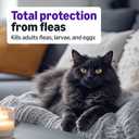 Amazon Basics Preventative Topical Flea Treatment and Prevention for Large Cats (Over 9 Pounds), Kills Fleas Within 12 Hours, 6 Count