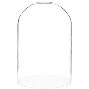 Glass Display Dome Cloche