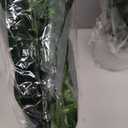 2pcs Fake Plants 16" Faux Plants Artificial Tropical Plants Indoor for Home Office Desk Kitchen Bathroom Table Shelf Decor