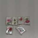 6 Pcs Pressed Flower Paperweight, Dried Flower Paperweight, Paper Weights Decorative for Office Desk, Desktop Decorations, Resin Crafts, Can be Used as Gifts(Rectangular) (Red)