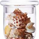 Small Glass Apothecary Jars with Lid, Clear Candy Jar with Lid, Cute Small Decorative Glass Jars for Wedding, Display and Home Decor, Glass Canisters (Height: 9", Diameter: 5") (22 Ounces)