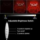 Cartoon Anime Neon Sign for Wall Decor Dimmable Cartoon Anger Neon Light Sign, LED Anger Neon Light for Bedroom Birthday Christmas Party Gifts10.9 * 12.2Inch