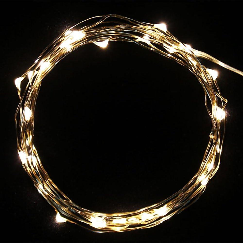Copper Wire LED String Lights 2m/6.5ft 20 Leds Battery Operated Lighting for Xmas Christmas Tree Wedding Outdoor Party, Warm White