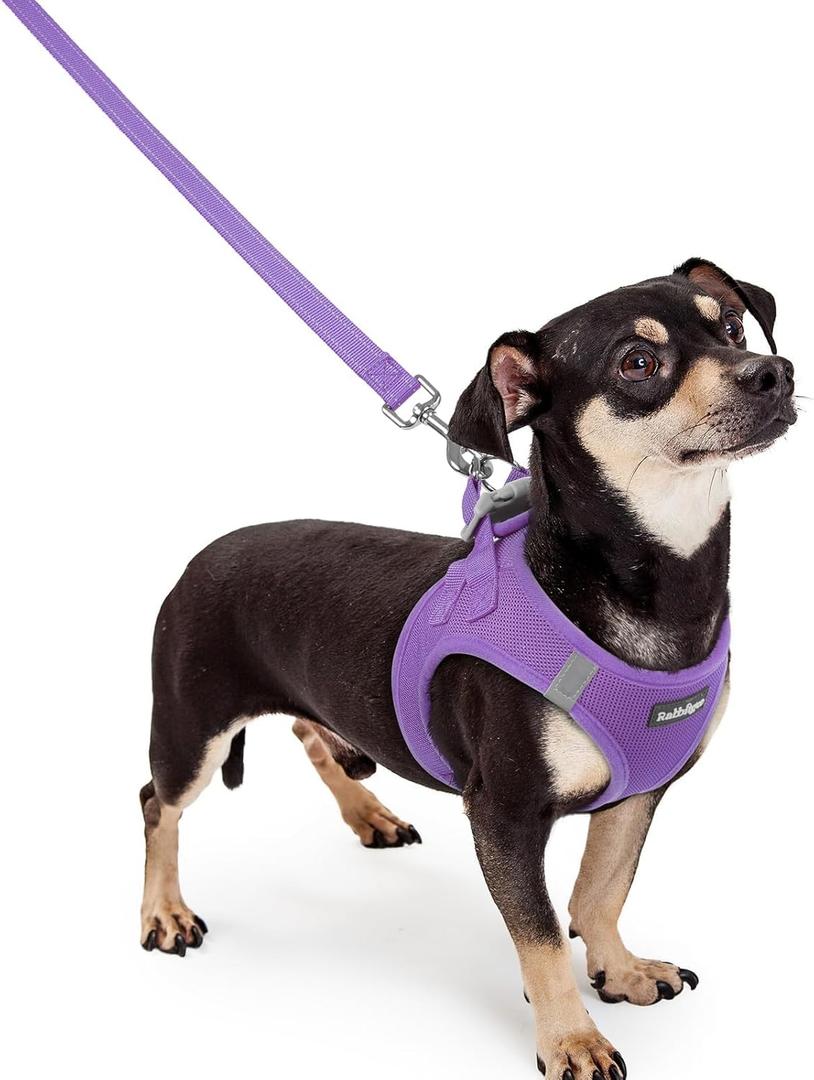 rabbitgoo Dog Harness and Leash Set, Step in Soft Light Puppy Vest, Breathable Mesh Pet Harness, Reflective for Outdoor Safe Walking, Purple (XXXS (chest: 10.8 - 11.8"))