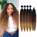 Brown to Honey Blonde Braiding Hair Pre stretched, Ombre Knotless Boho Hair for Braiding Synthetic Hypoallergenic Curly Crochet Braids Twist Bohemian Box Braids Hair (#1b/30/27 5Packs)