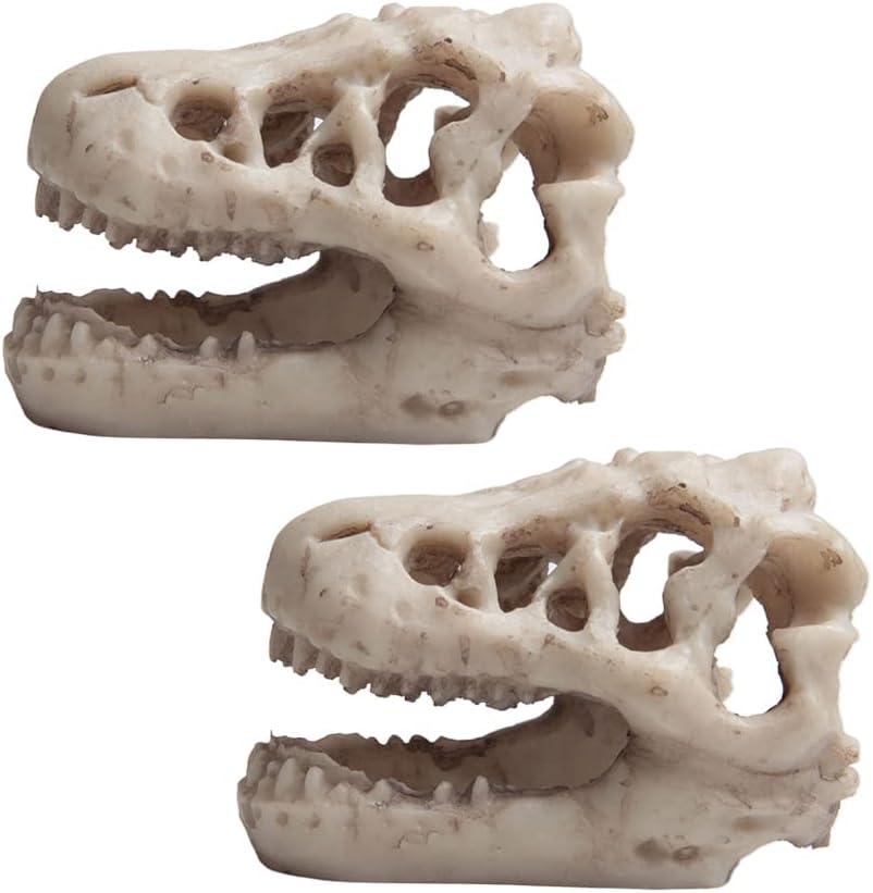 Opexicos 2Pcs 8.5 x 5.5 x 4.5 cm Resin Dinosaur Skull Aquarium Decoration Terrarium Reptile Fish Tank Ornament
