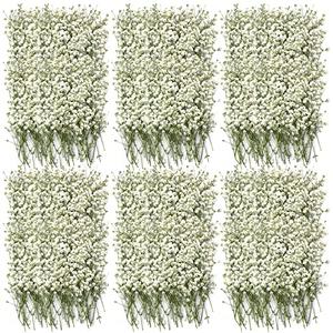 Coume 300 Pcs Mini Dried Babys Breath Flowers Pressed Babys Breath Ivory White Dried Flowers Bulk Natural Gypsophila for Wedding Invitation Bridal Scrapbook Bookmark DIY Art Crafts Card Resin Candle