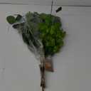 Spring Decor Pick 5 Packs