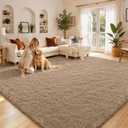  Area Rugs for Living Room Bedroom, Machine Washable