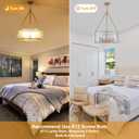 20" Glass Glod Chandeliers Modern Chandeliers for Dining Room, 5 Light Drum Entryway Light Fixture, Adjustable Pendant Lights Kitchen Island Foyer Chandelier for Entryway, Bedroom, Bathroom