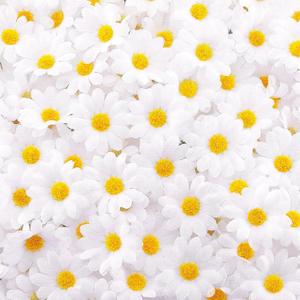 Waydress 200 Pieces Faux Daisy Flower Heads for Craft Mini Fabric Daisy Flower Heads Bulk 1. 57 Inch Artificial Fake Small Daisies Art DIY Craft for Summer Wed Birth Party Decor (White)
