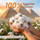 1200 Thread 100% Egyptian Cotton Sheet Sets King Size 4 Pcs Bedding Set, 16" Deep Pocket Soft Bed Sheet for All Season(King, Black)