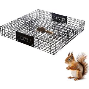 Squirrel Trap,Humane Catch and Release,Can Catch Multiple Squirrels or Chipmunks at Once
