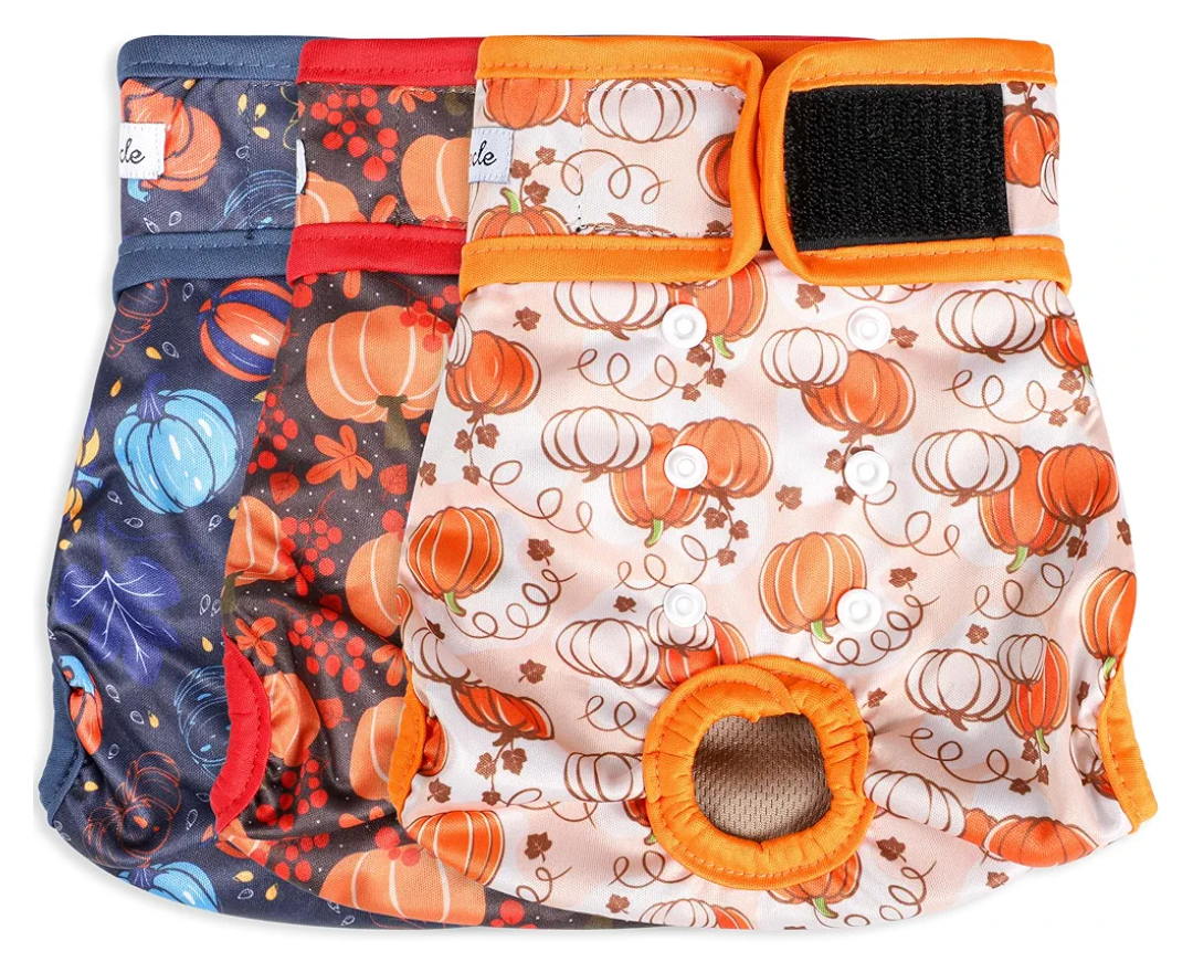 Female Dog Diapers - Premium Reusable Diapers for Doggie in Heat - Highly Absorbent Dog Diapers Female for Pet Incontinence with Adjustable Snaps Pumpkin, S