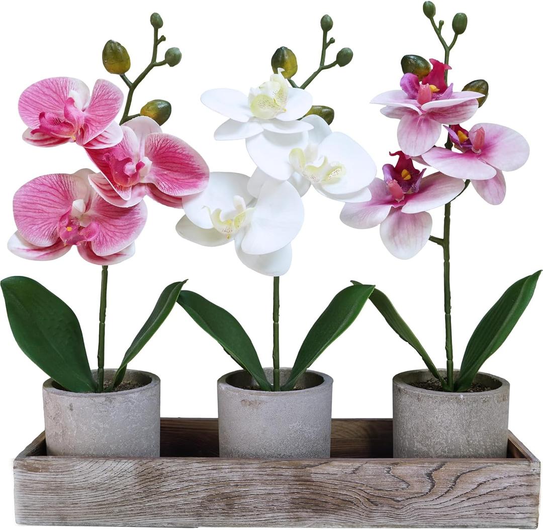 Winlyn Set of 3 Small Artificial Orchid Potted Plants Arrangement with Rustic Wood Planter Box Real Touch Faux Phalaenopsis Moth Orchid Flowers in Pots for Home Office Desk Shelf Table Centerpiece