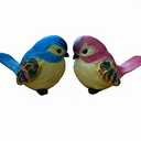 Gishima 2Pcs Colorful Bird Figurines Home Garden Bird Statue Decor (2pcs A)