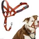 Halti Headcollar - Stop Your Dog Pulling on The Leash. Adjustable, Reflective and Lightweight, with Padded Nose Band. Dog Training Anti-Pull Collar for Medium Dogs (Size 2, Burnt Orange)