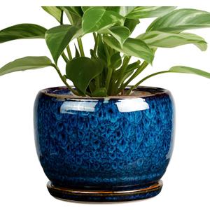 SQOWL Ceramic Planter 8 Inch - Pot for Indoor Outdoor Plants Round Ceramic Plant Pot with Drainage Hole and Saucer Modern Flower Pot Glazed Blue
