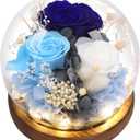 Preserved Flowers,Rose in Glass Dome with LED Light, Gifts for Her, Women, Mom,Grandma,Girlfriend, Wife - Style5 (Blue & White (S5))