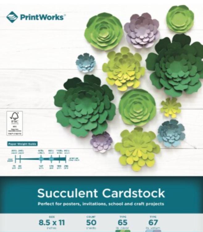 PrintWorks Succulent Cardstock 8.5 x 11 50pcs