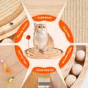 Cat Scratch Pad with Ball Track and Spring Toy, Wooden Cat Scratcher with Sisal Scratching Mat, Ball Track System and 3 Replacement Toy for Cats Scratching,Chasing and Playing (Nature Wood)