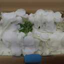 AVIVIHO 20Pcs White Hydrangea Artificial Flowers Bulk Realistic Silk Faux Hydrangea Heads with Stems Ivory Fake Flowers for Wedding,Party,Home,Table Centerpieces, Arch,Baby Shower,Party DIY Decoration