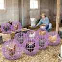 Leinuosen 4 Pack Chicken Ball Cage Movable Mesh Rabbit Coops Plastic Detachable Rolling Safety Hutch Prevents Dog Bites Horse Trampling for Bird Duck Outdoor(Purple)