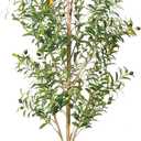 Artificial Olive Tree with White Pot - Faux Olive Tree for Home Decor, Tall Artificial Plants Indoor, Realistic Trunks Foliage Fruit, Office Decor (6FT)