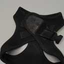 Best Pet Supplies - All Weather Mesh / Plush, Reflective, No Pull Harness for Small, Medium Dogs, Cats - Secure with Hook & Loop Fastener, Buckle, Double D-Rings - Black/Black Trim, L (L (Chest: 18 - 20.5"))