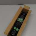 GREENTIME 6 Pcs Green Artificial Succulent Plants in Mini Black Plastic Pots Small Fake Succulent Plant Faux Indoor Decor Bedroom Desk Bathroom Office Living Room Table Shelf Home Decoration