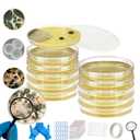 Mold Test Kit for Home,Mold Test Kit with 10 Indoor Mold air Test, Mold Detector for Home,Rapid Lab-Accurate Detection for Air & Surface Mold in Basements, Bathrooms & HVAC Systems