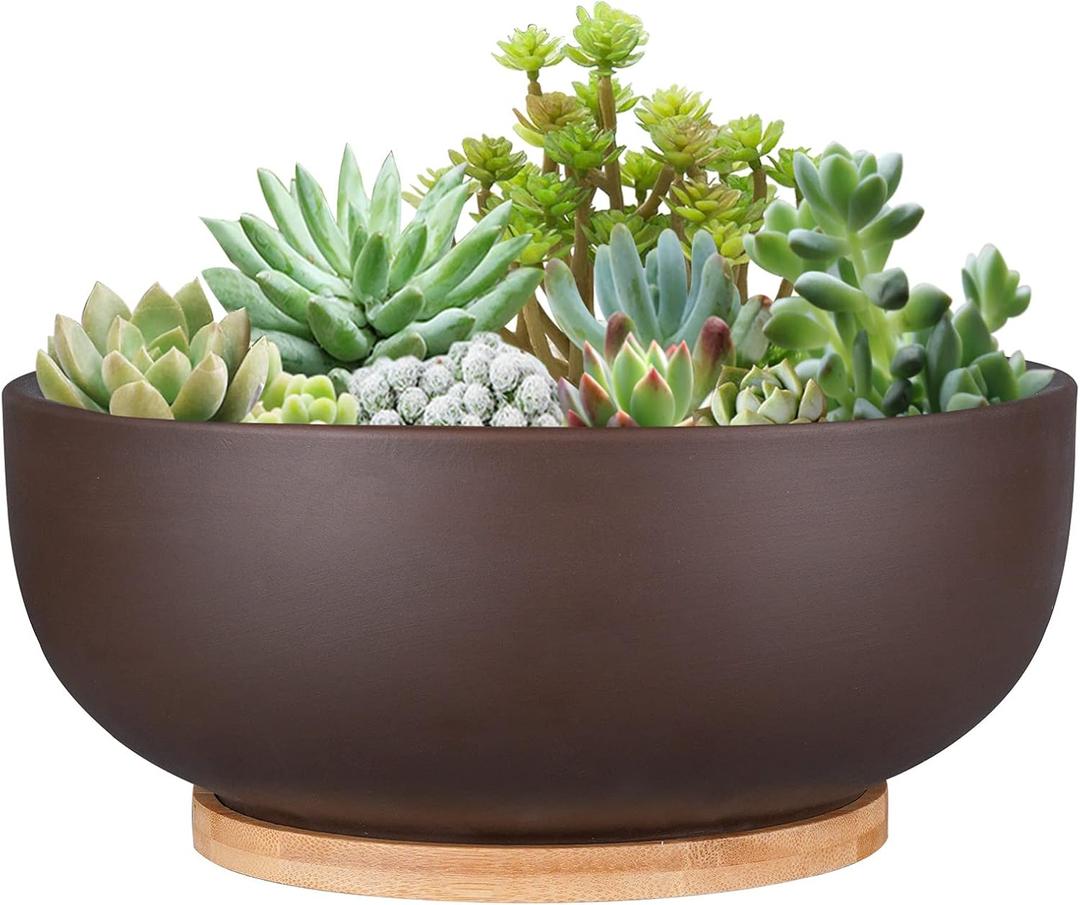 10 Inch Terracotta Planter, Large Succulent Bonsai Planter Pot with Drainage Hole and Bamboo Saucer for Indoor Plants, Brown