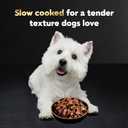 Cesar Filets in Gravy Adult Wet Dog Food Variety Pack, Filet Mignon, New York Strip and Prime Rib Flavors, 3.5 oz. Easy Peel Trays, Variety Pack, 24 Count