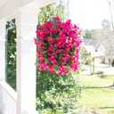 Artificial Bougainvillea Faux Flowers Plants Baskets for Outdoor Outside Decoration, 3PCS Fake Silk Flowers Long Trailing Vines UV Resistant Realistic for Front Door Porch Patio (PurpleHotpink)