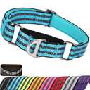 Martingale Dog Collars for Large Dogs, Reflective Nylon No Pull Choke Collar with Padded Heavy-Duty Metal D-Ring No Buckle for Nighttime Walking & Training -Blue L