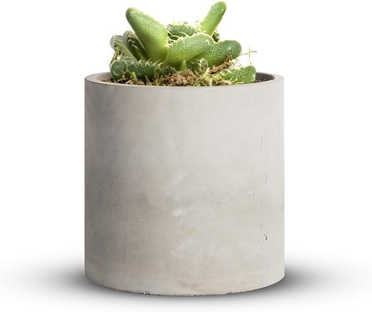 Mozing Cement Plant Pots Indoor - Concrete Planter Pot for Planting - Modern Stone Clay Flower Pot with Drainage Hole for Garden, Home, Office Decor, Grey (5.9 inch)