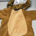 Fun World Costumes Baby's Cuddly Lion Infant Costume (12-24M) (Brown)