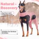 ROZKITCH Dog Hind Leg Sleeve Rear Legs, Pet Sleeve to Prevent Licking Wound Elbow Protector, Dog Recovery Suit Cone Collar Alternative for Sprain ACL CCL Arthritis Joint Care Pink L