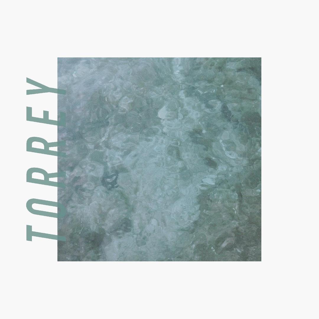 Torrey, Vinyl