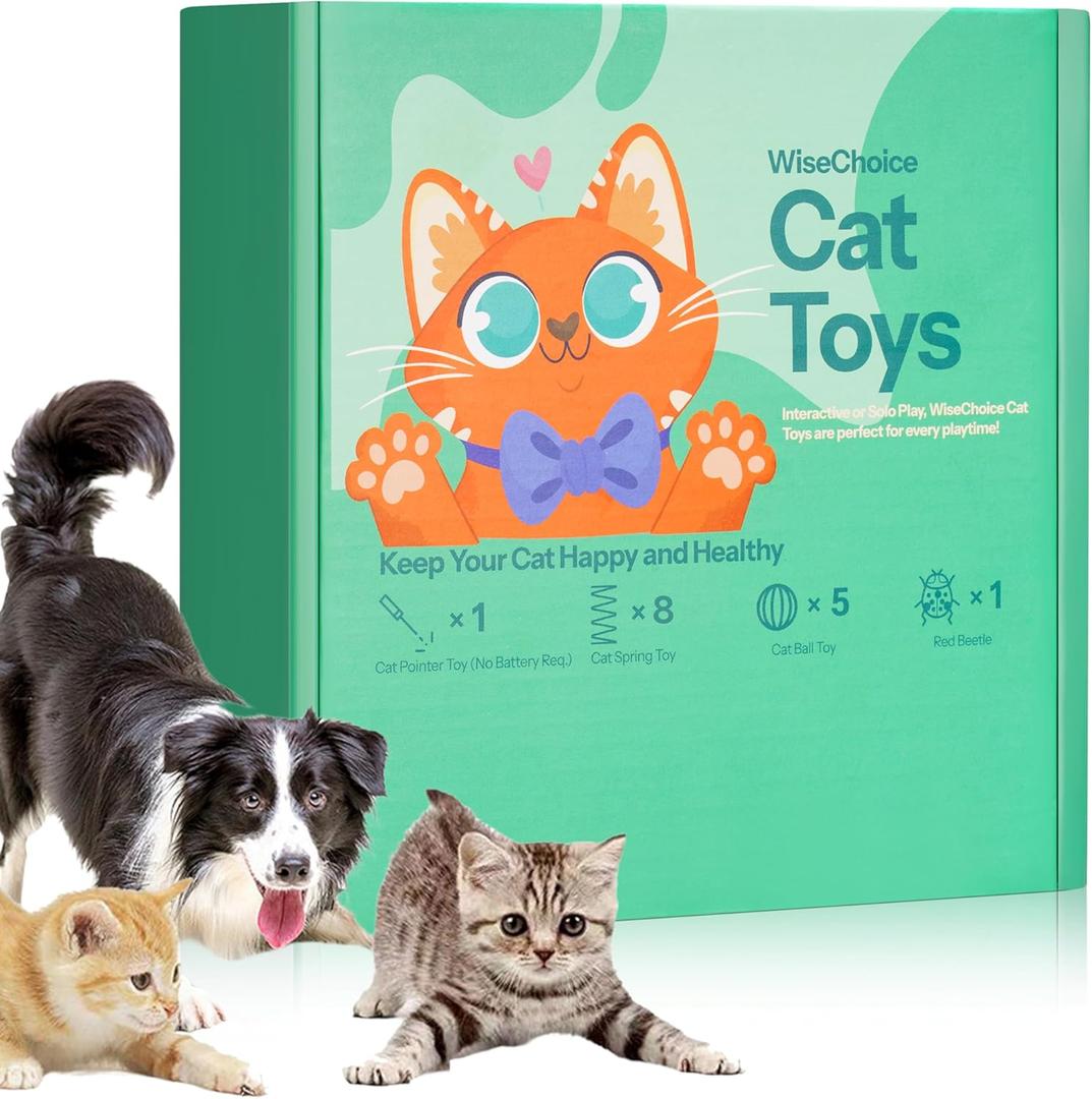 WiseChoice 15-in-1 for Cat Toys, Rechargeable Chase Light, Cat Spring Toy, Ball Toys with Bell and Plush Toy, Perfect for Solo or Interactive Play for Cats Kitten
