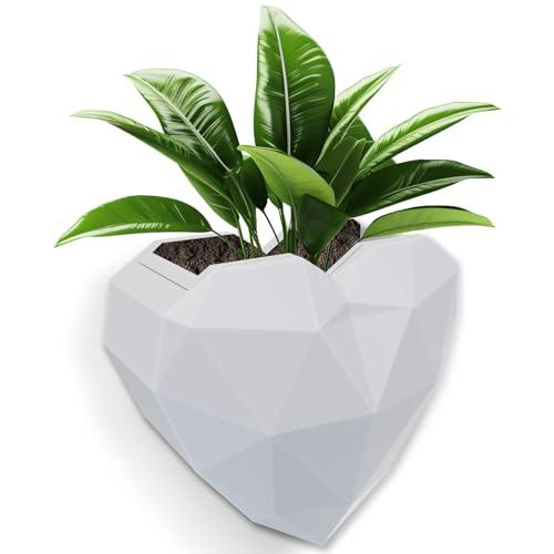 VMAYAN Heart Self Watering Planter | Indoor Wall Planters for Indoor Plants | Vertical Succulent Wall Planters | Create A Wall Garden Without Drilling (White)